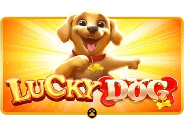 Responsible gaming guidance beside the 365 apk Lucky Slots Guide section